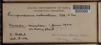 Image Associated With the Occurence